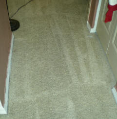 Carpet Cleaning After Picture