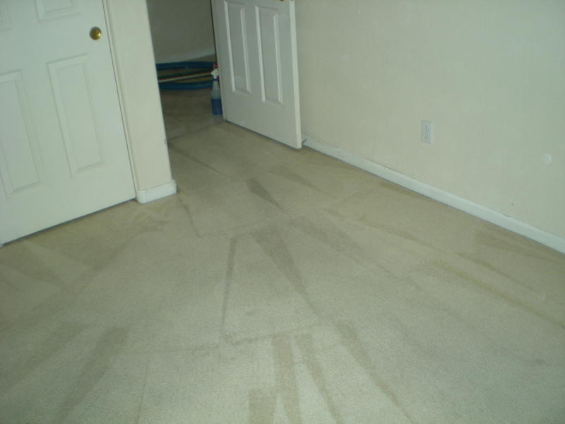 Picture after carpet cleaning of a Peoria home