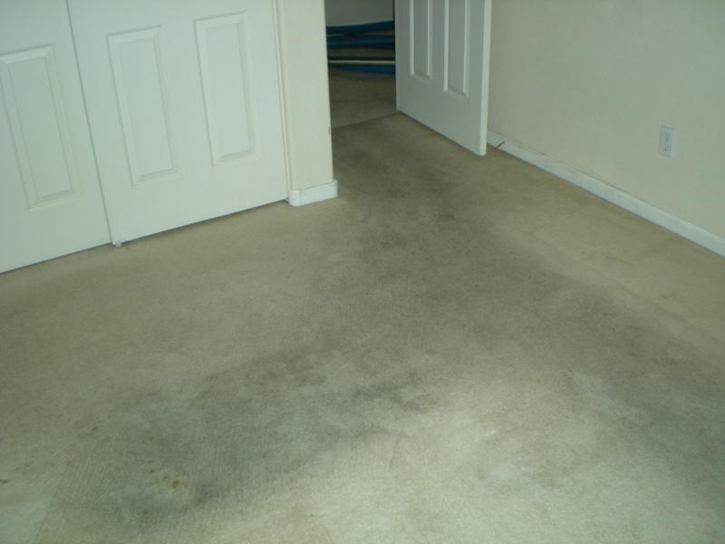 Picture before carpet cleaning of a Peoria home