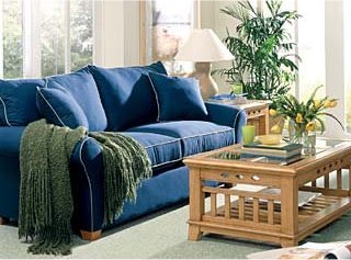 Upholstery Cleaning Service in Phoenix, AZ Picture